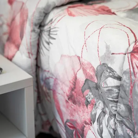 Affitta 3* Novara